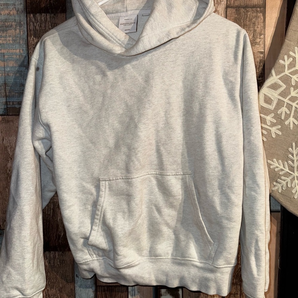 Aritzia Light Gray women’s Hoodie Sweater